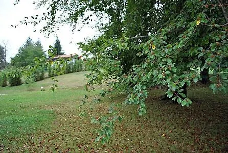 Sleeps 4 Pool Air Con Appartamento